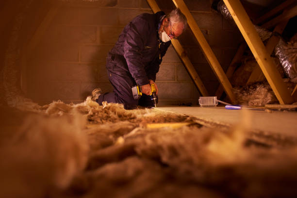 Best Basement Insulation  in Taylor, TX